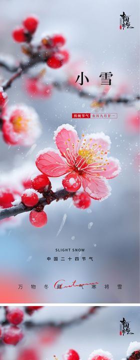 小雪梅花节气海报