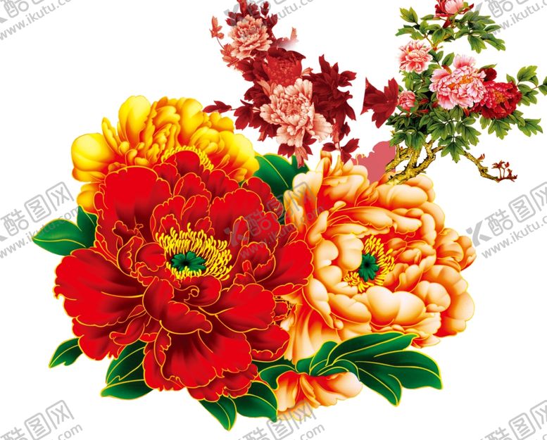 牡丹花瓣背景工笔画