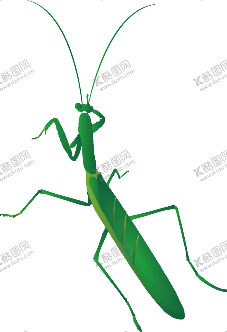 编号：45219703272110213274【酷图网】源文件下载-卡通手绘螳螂