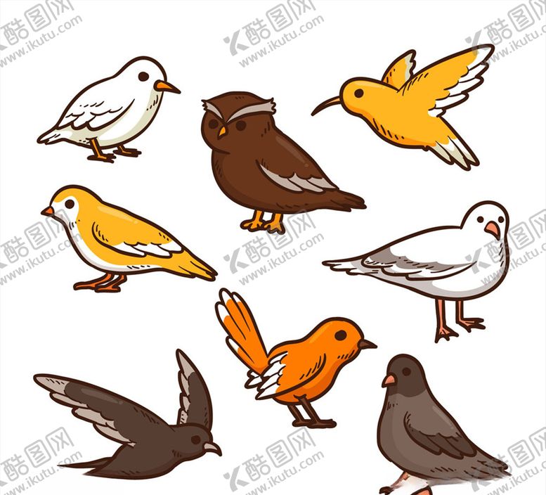 编号：35052710281506141574【酷图网】源文件下载-彩色鸟类设计矢量素材