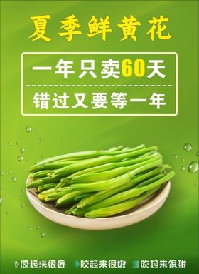 黄花菜海报