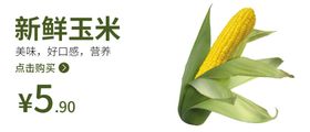 玉米食品海报玉米海报