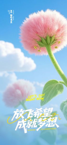 夏日梦想放飞海报