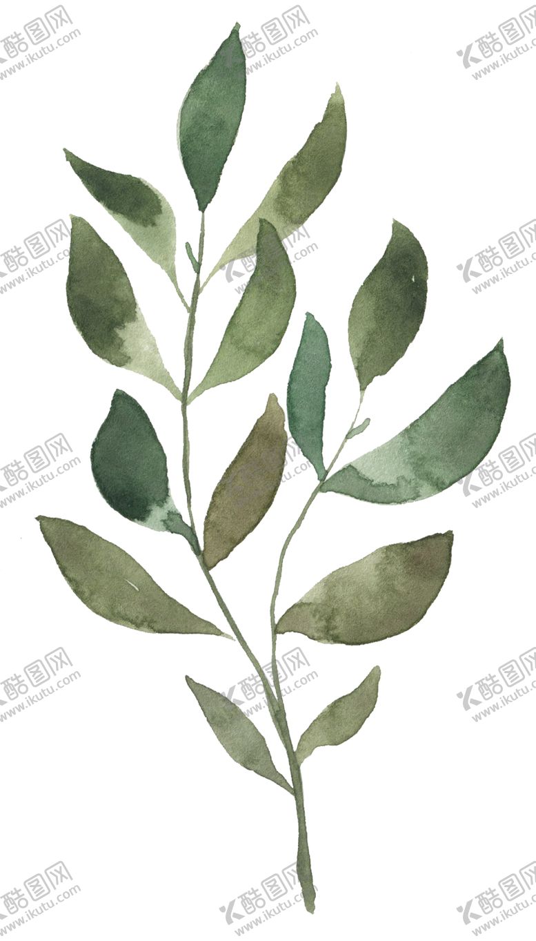 编号：40015905112000367691【酷图网】源文件下载-手绘植物花卉