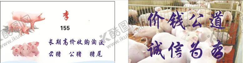 编号：59468706261226498731【酷图网】源文件下载-收猪名片