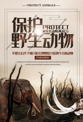 保护野生动物