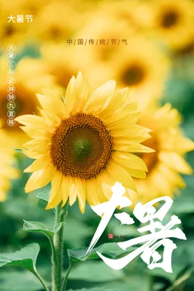 大暑H5刷屏夏天海报