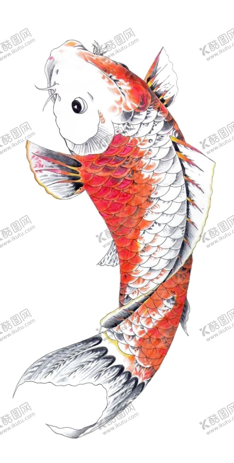 编号：36906506282012088829【酷图网】源文件下载-水墨墨迹鲤鱼