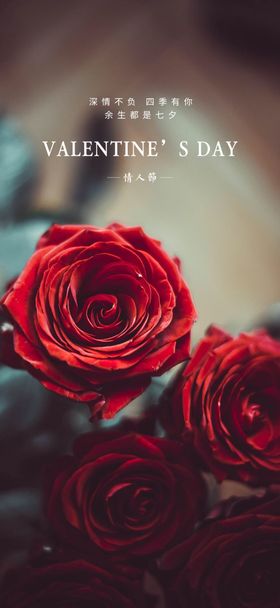 情人节妇女玫瑰花海报