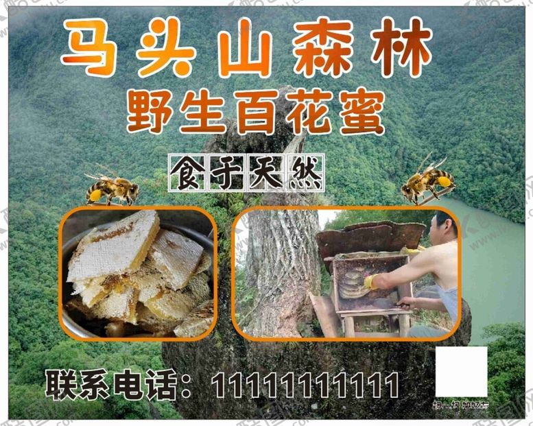 编号：41043002170808376327【酷图网】源文件下载-蜜蜂海报