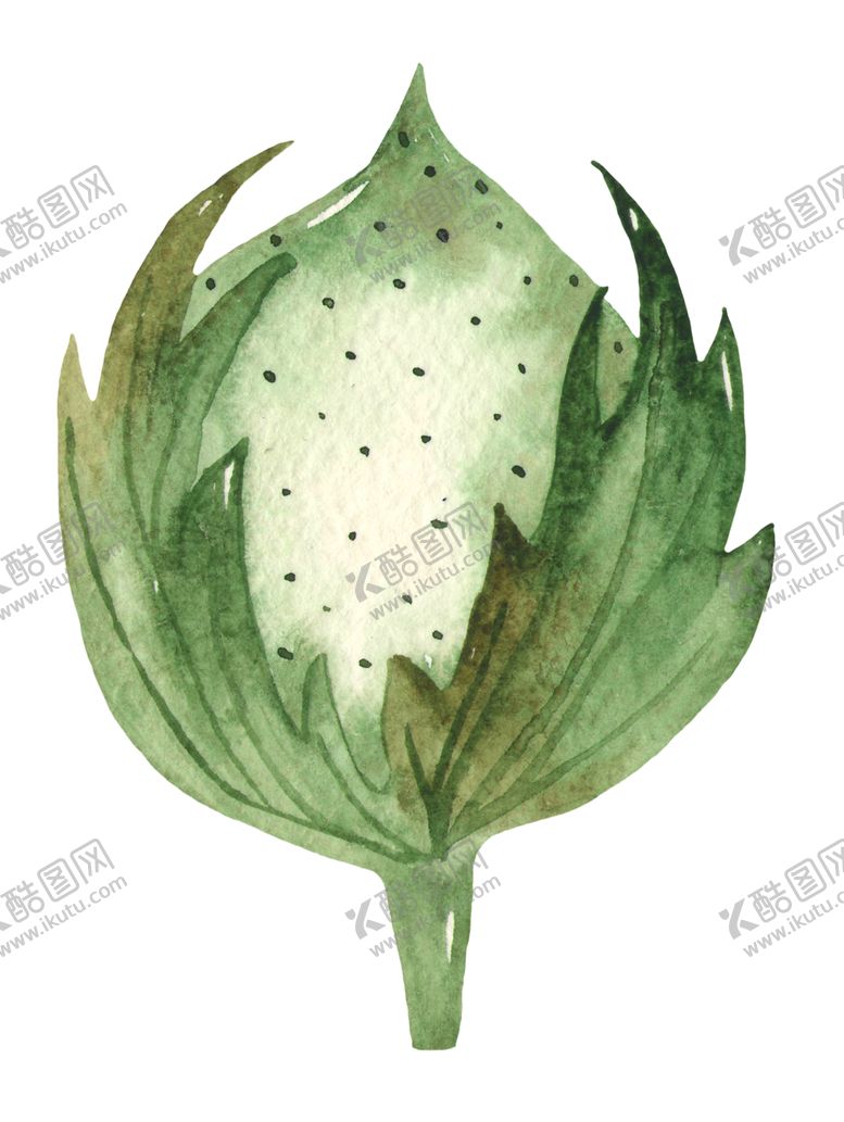 编号：74345009280442174274【酷图网】源文件下载-木棉花花朵绘画图案