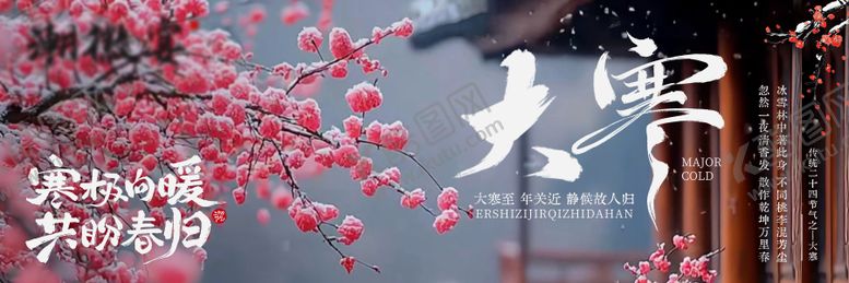 编号：45748801090206095992【酷图网】源文件下载-大寒实景雪景节气海报