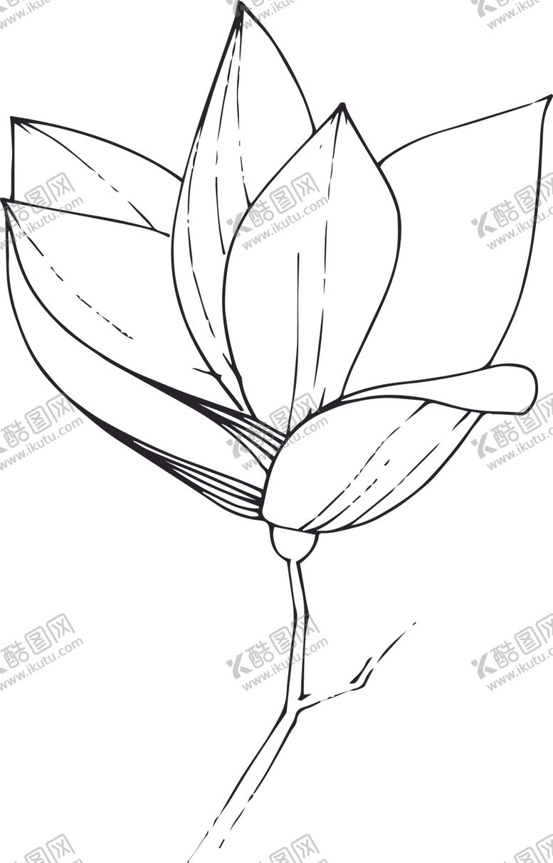 编号：73647512131342197643【酷图网】源文件下载-白描植物