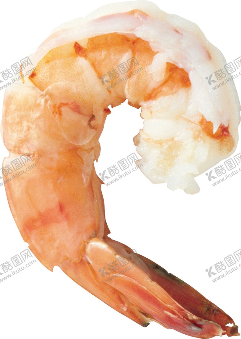 编号：12331701310839161464【酷图网】源文件下载-基围虾 菜品 特色小吃 png