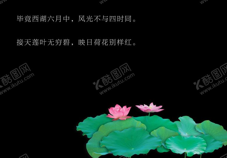 编号：83779405030303456493【酷图网】源文件下载-荷花