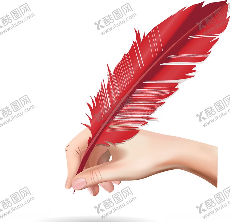 编号：73657307011712385824【酷图网】源文件下载-羽毛