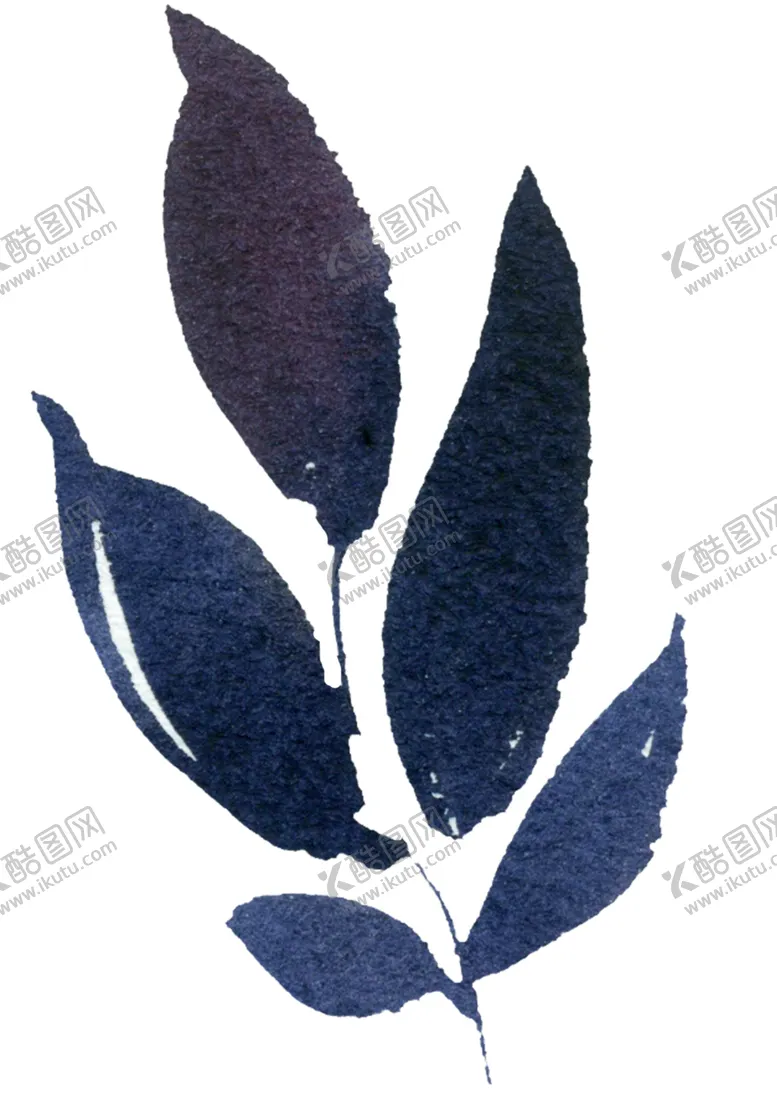 编号：17912502090722443922【酷图网】源文件下载-花叶 