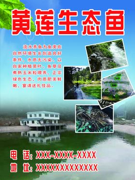 生态鱼馆