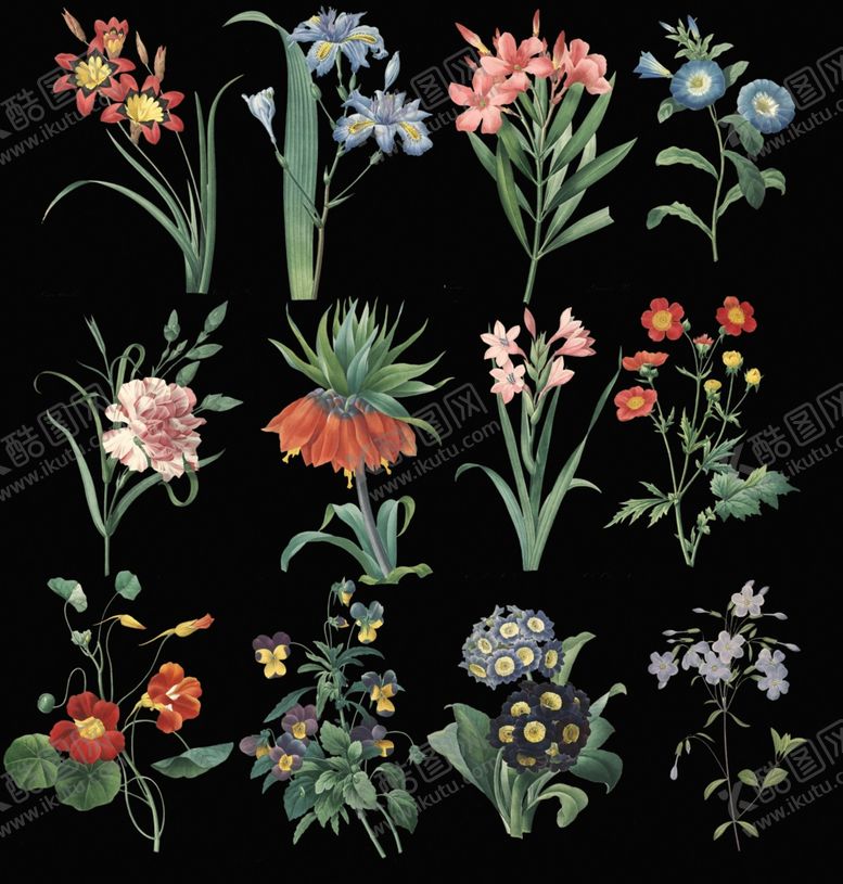 编号：90650509151935019833【酷图网】源文件下载-花朵插画鲜花