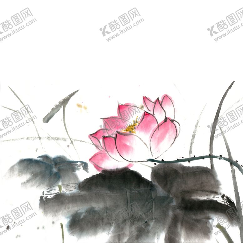 编号：24557801260301038462【酷图网】源文件下载-荷花素材