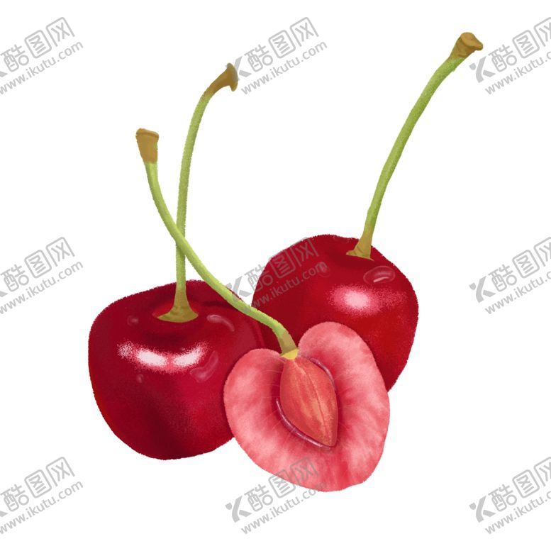 编号：48267204161707596267【酷图网】源文件下载-夏季水果樱桃手绘插画素材