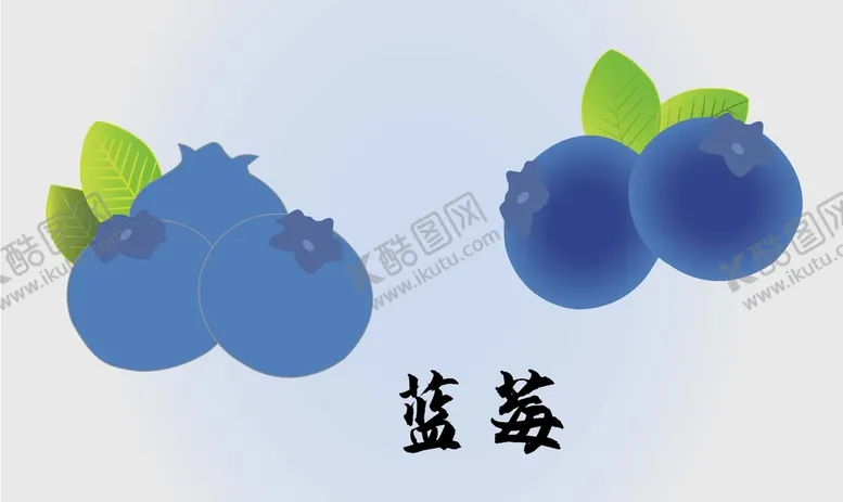 编号：90267509230234232630【酷图网】源文件下载-蓝莓矢量