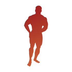 黄金肌肉男