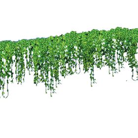 绿色植物背景墙效果图竹排竹栏杆