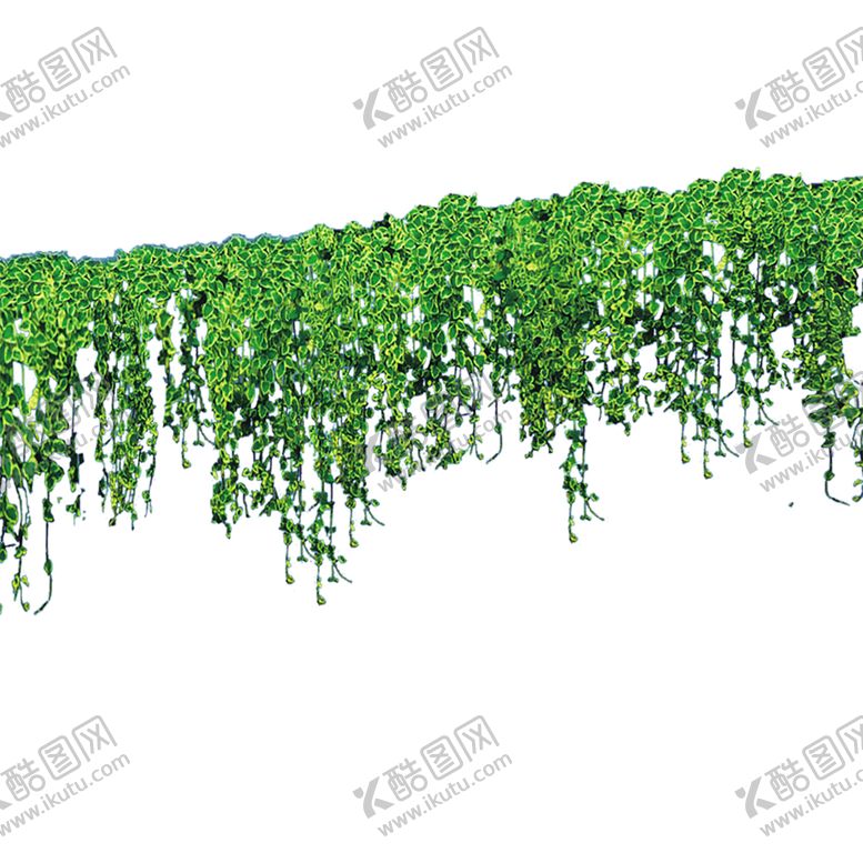 编号：77077307090449442646【酷图网】源文件下载-绿色植物