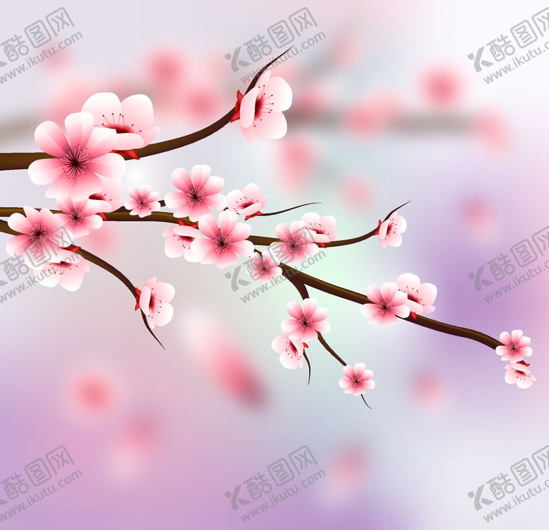 编号：21153610221006335217【酷图网】源文件下载-樱花