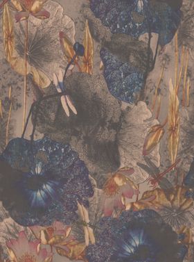 水墨画荷花