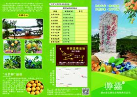 图文广告 三折页
