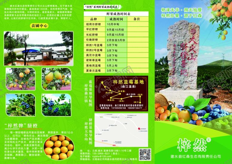 编号：36119507130940125002【酷图网】源文件下载-广告三折页