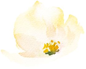 花卉背景手绘复古手绘田园手绘欧式油画