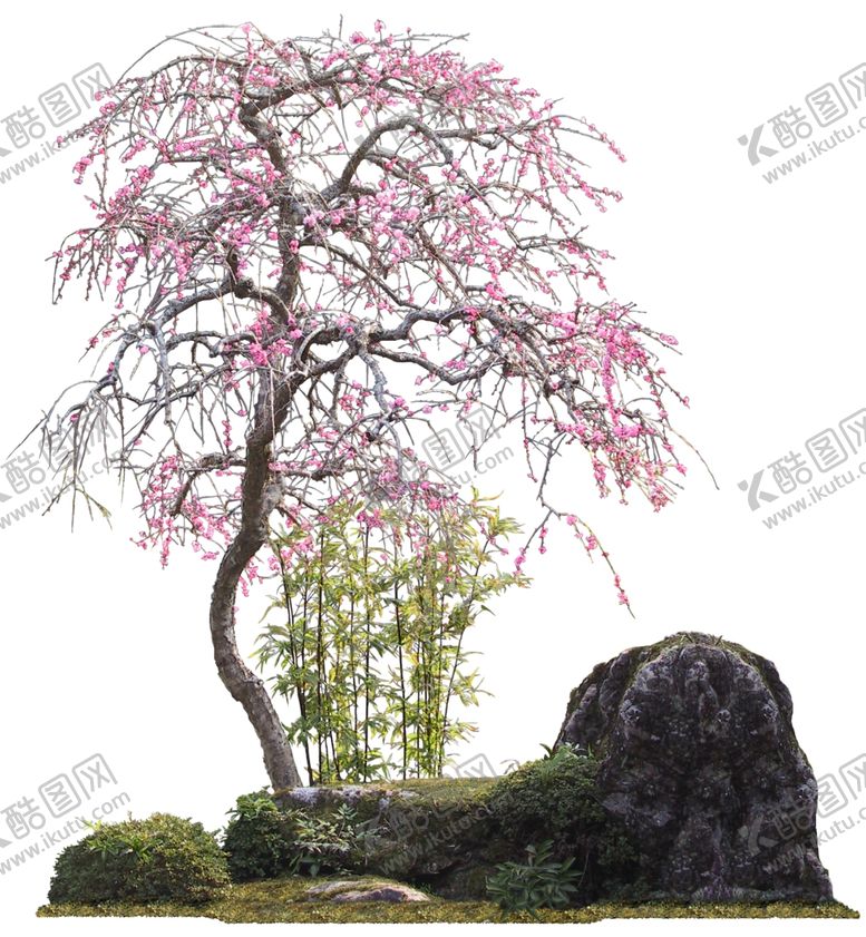 编号：61306005161420539797【酷图网】源文件下载-免扣植物树木素材图片