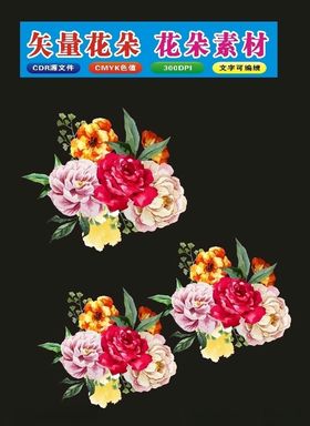 花卉牡丹