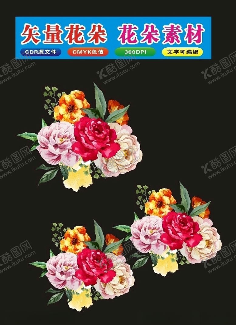 编号：25779310212058298757【酷图网】源文件下载-花卉牡丹