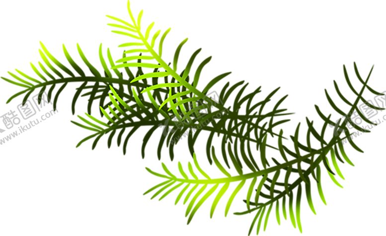 编号：75302509212151505874【酷图网】源文件下载-绿色植物