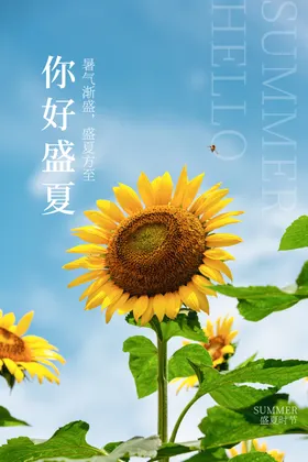 夏天你好海报玩水设计文案