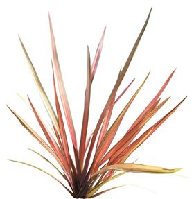 免扣扁平风花卉植物元素素材