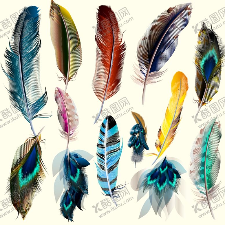 编号：24954510211453077413【酷图网】源文件下载-羽毛