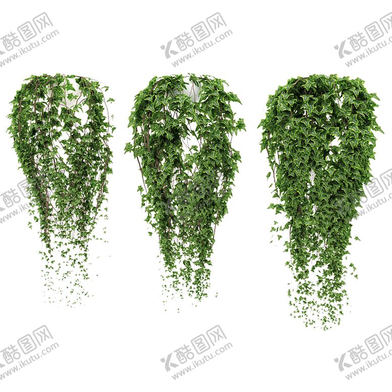 编号：81521509251455043490【酷图网】源文件下载-绿色植物