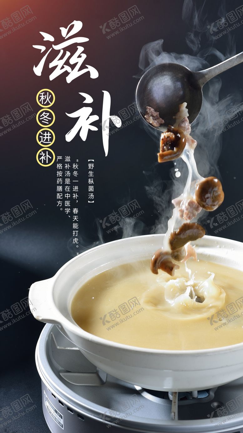 编号：89549709262043134518【酷图网】源文件下载-秋冬滋补美食养生汤摄影海报