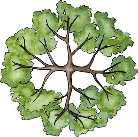 手绘植物