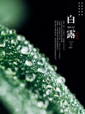 白露