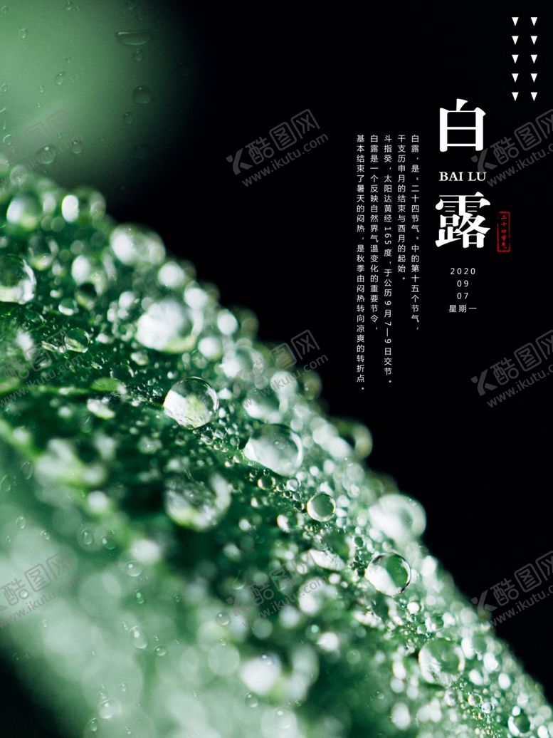 编号：18045006291442494199【酷图网】源文件下载-白露