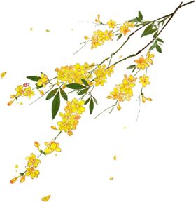 桂花