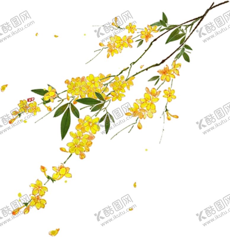 编号：89138305120818252407【酷图网】源文件下载-桂花