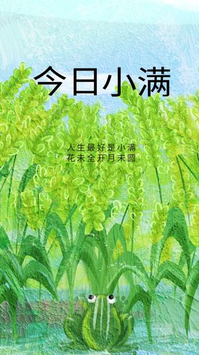 小满素材宣传节气海报