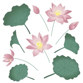 水彩花卉